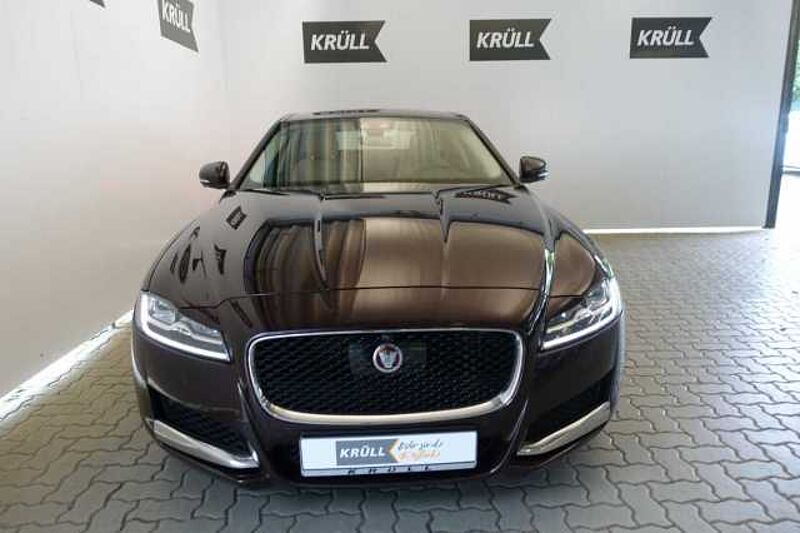 Jaguar XF Portfolio+LED+Pano+Leder